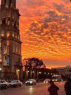 Meet your Posher, Javier